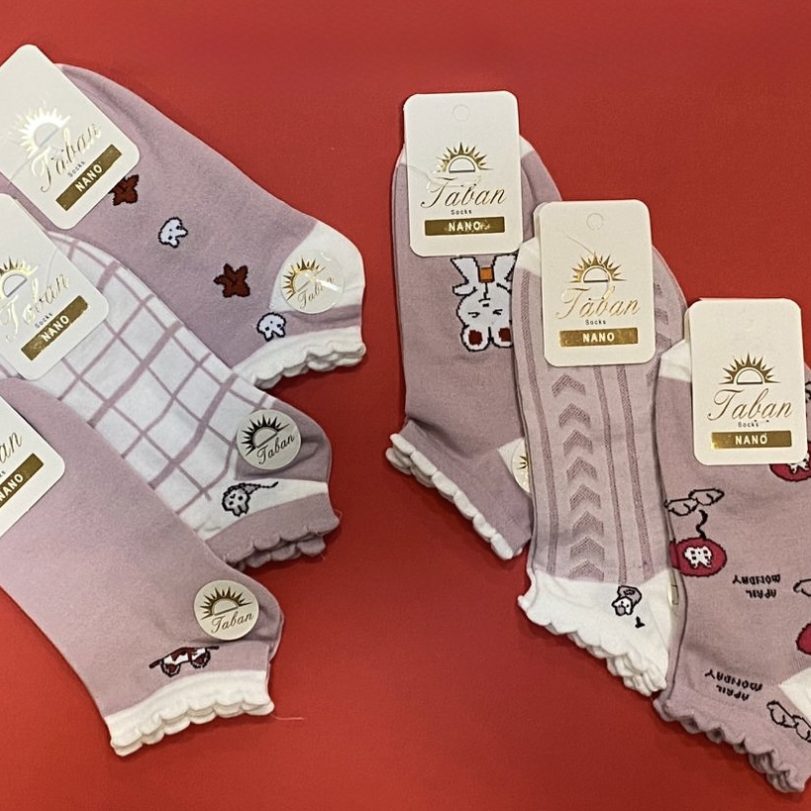 پک ۶ تایی مچی خرگوش دالبری سوسنی